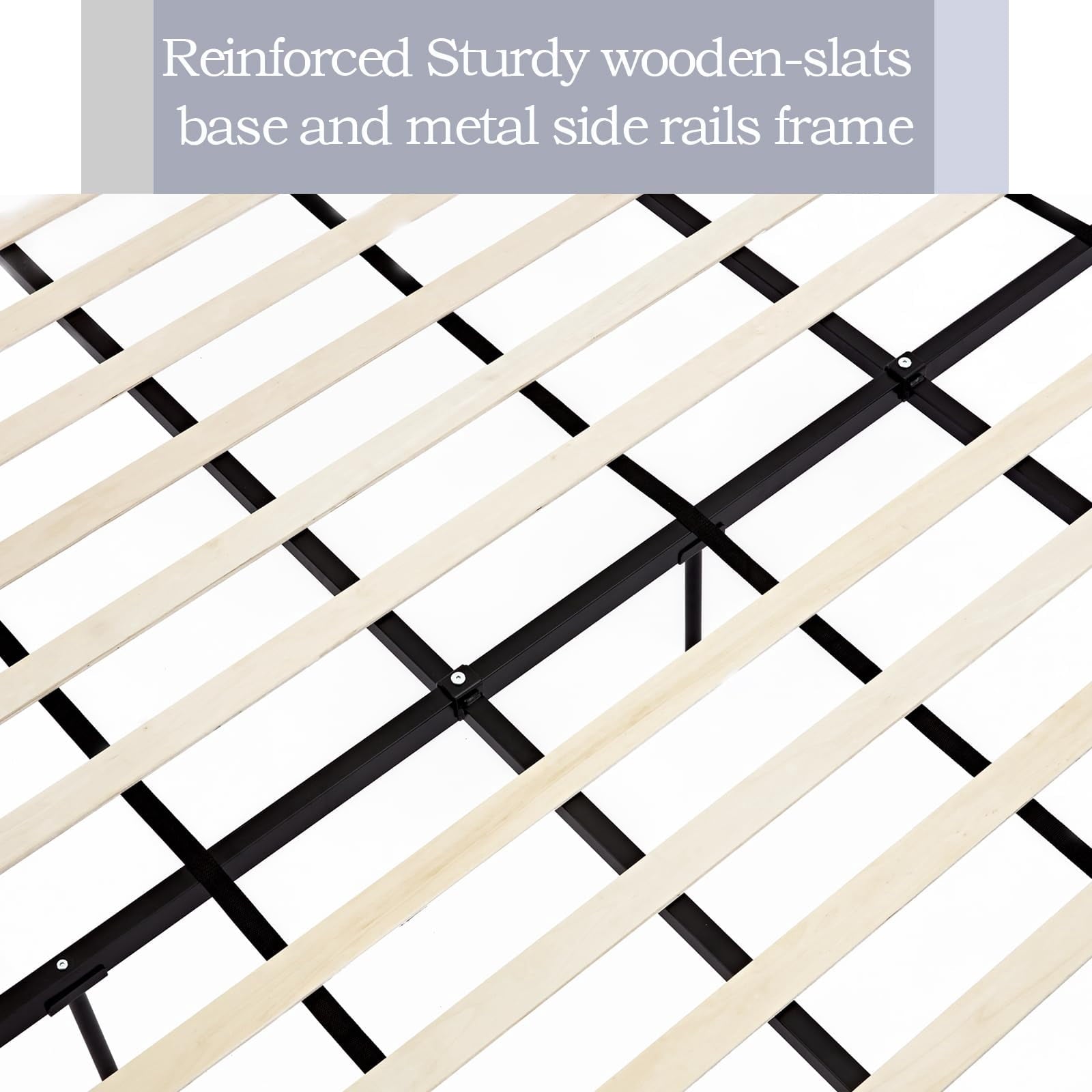 Textured Ivory Canvas B083P358493